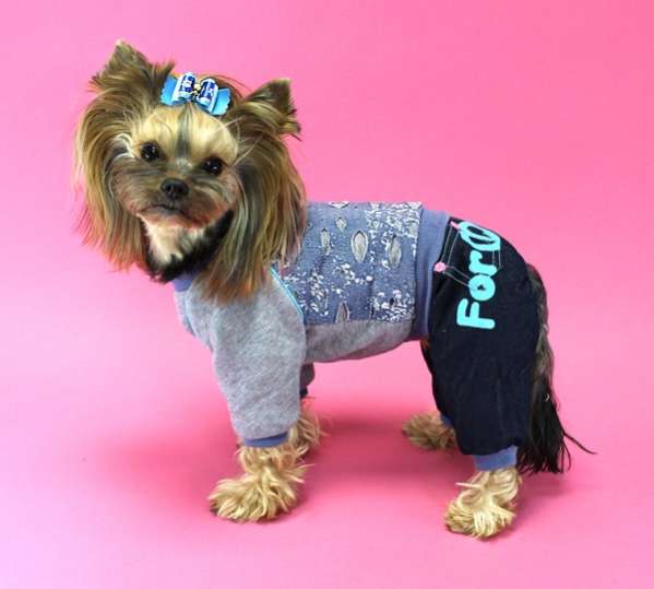 Бантик для собак Ажур