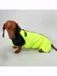 Дождевик для таксы и корги Puffy Лайм Лимонный