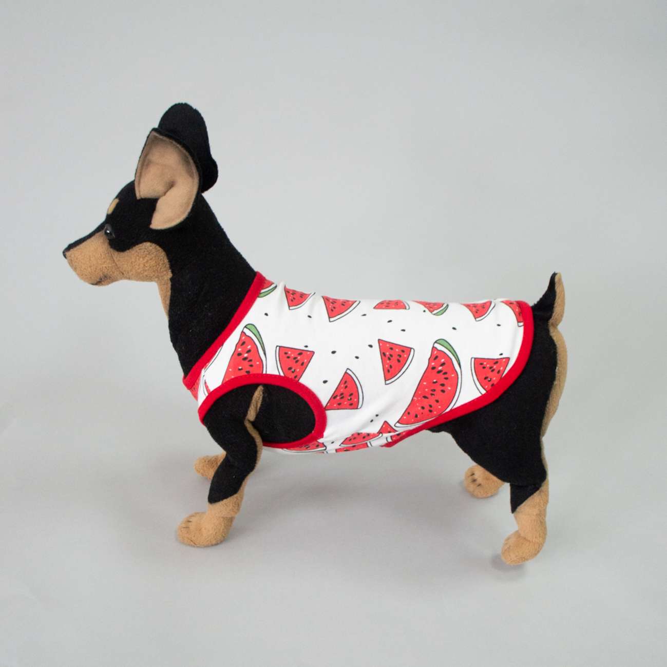 Майка для собаки Pet Арбуз