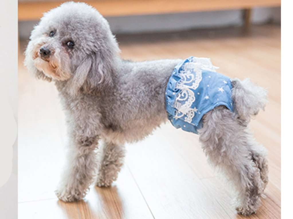 Трусы для собак Pet Звёздочки