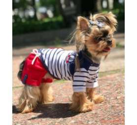 Костюм для собак трикотажный Premium Роял