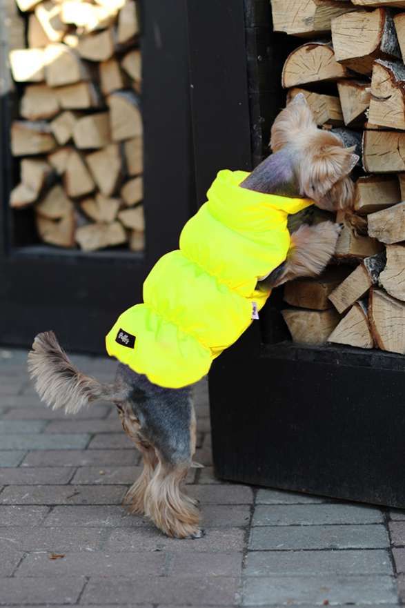 Жилетка для собаки Puffy Рич лимонная