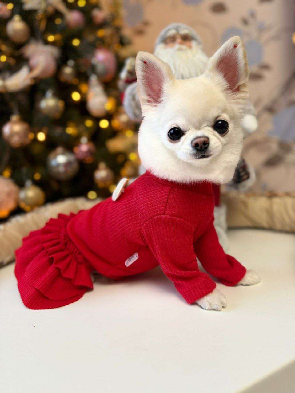 Платье Puffy Лапша Клубничка