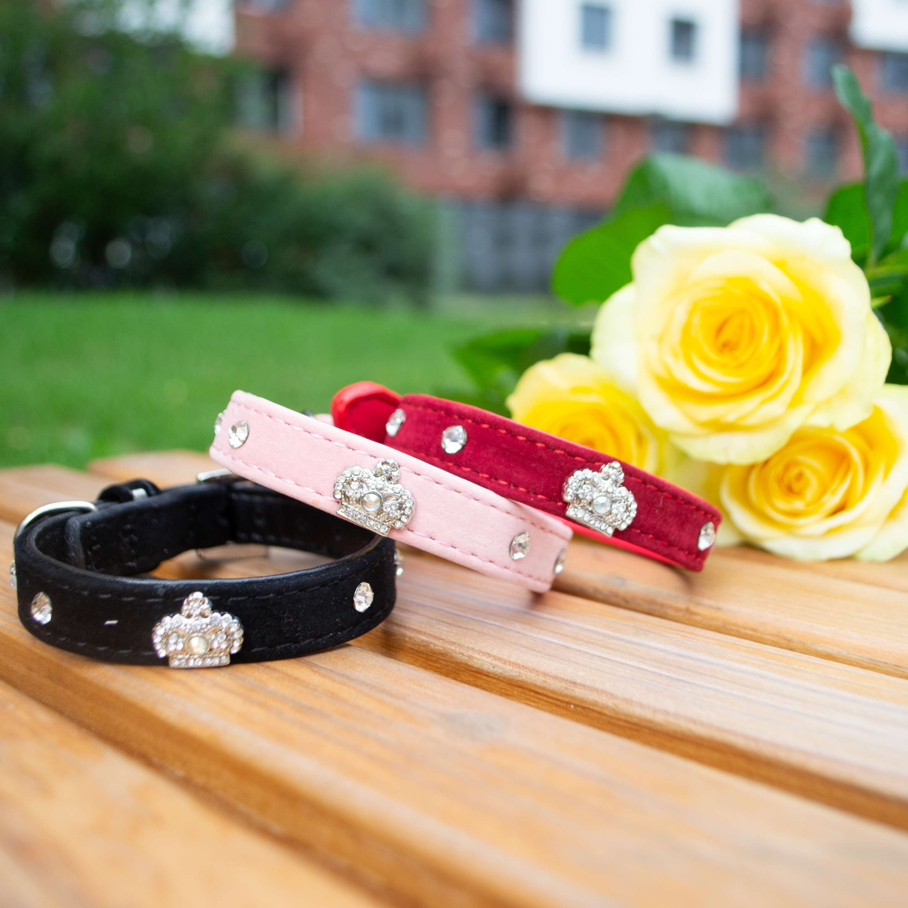 Ошейник для собак Pet Корона