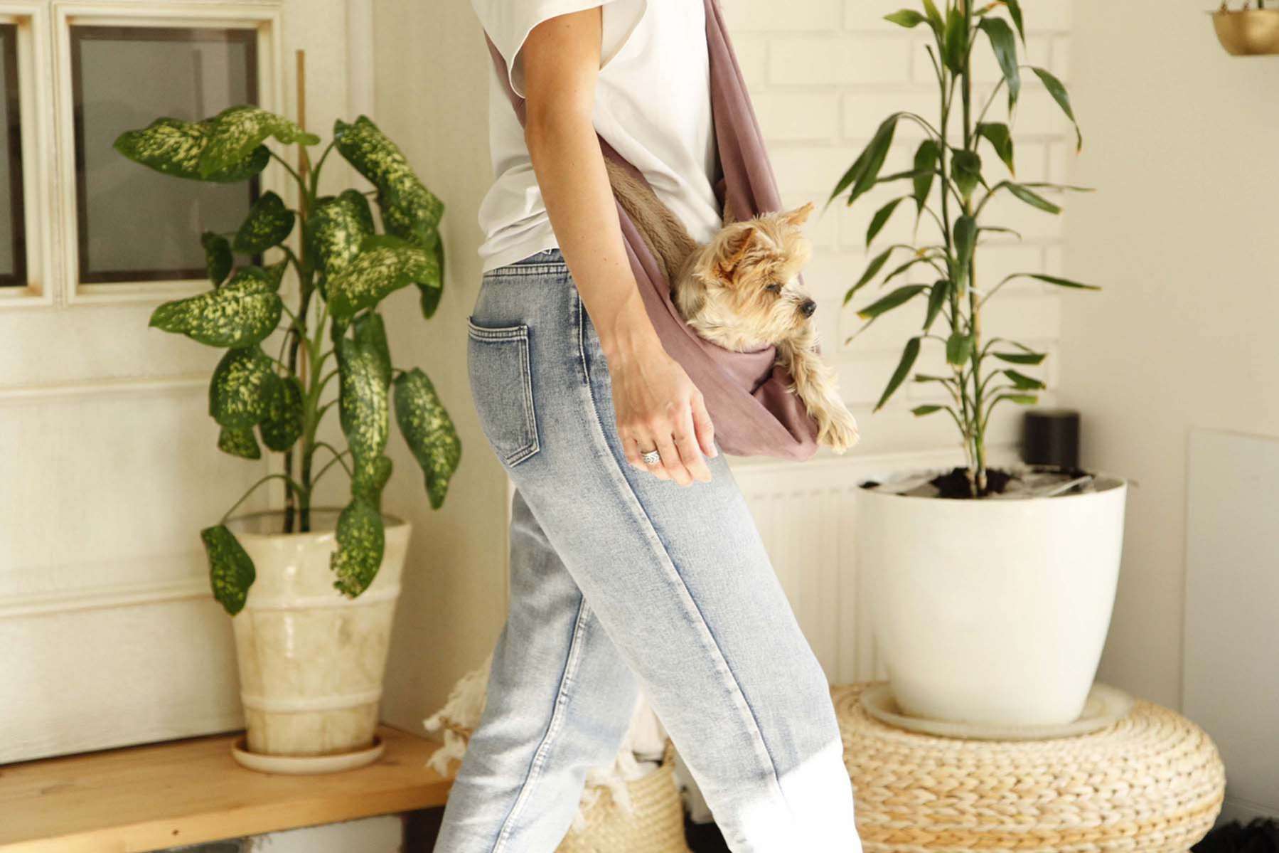 Гамак для собак Puffy Прованс