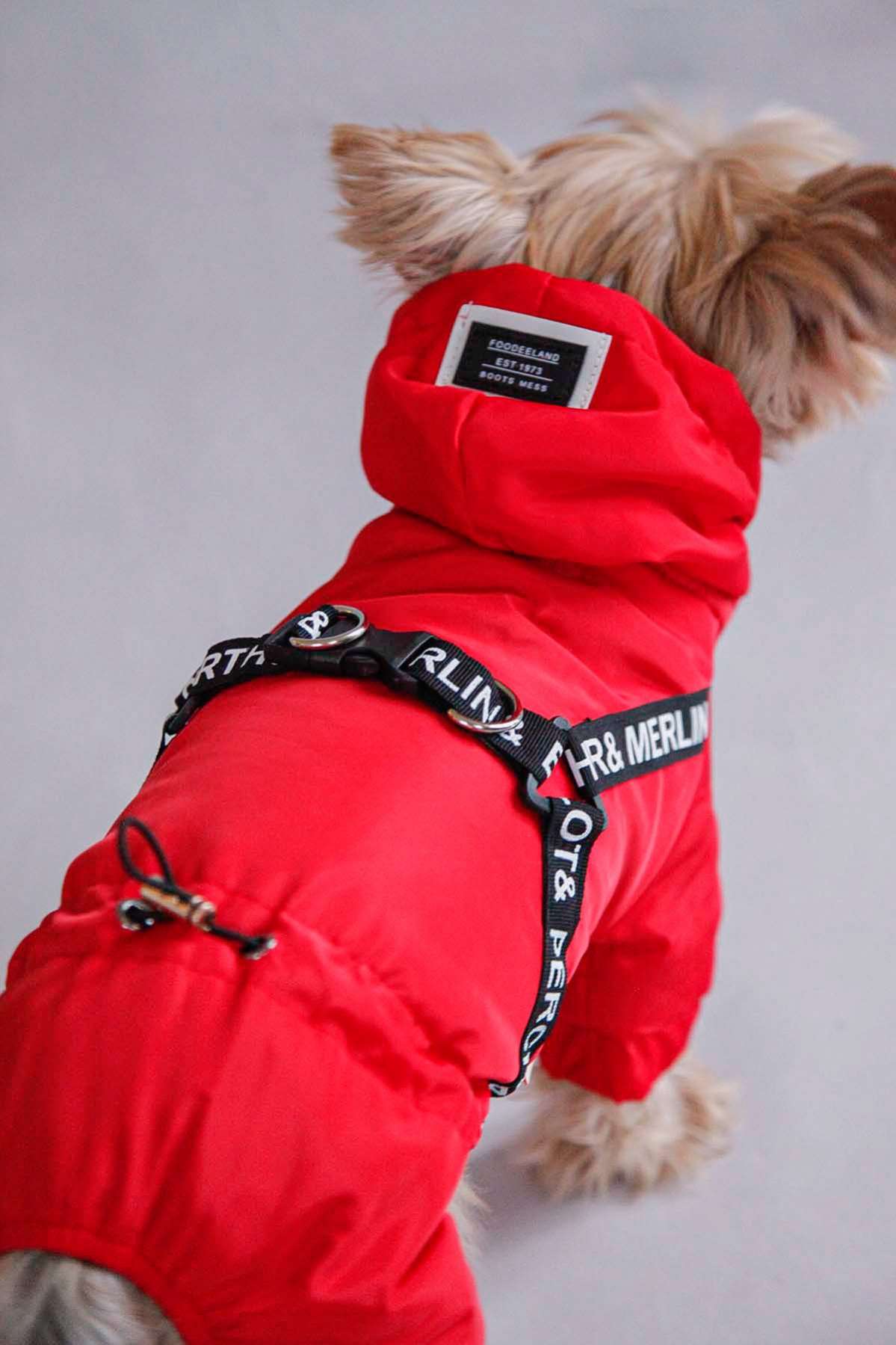 Дождевик для собаки утепленный Pet Мемори