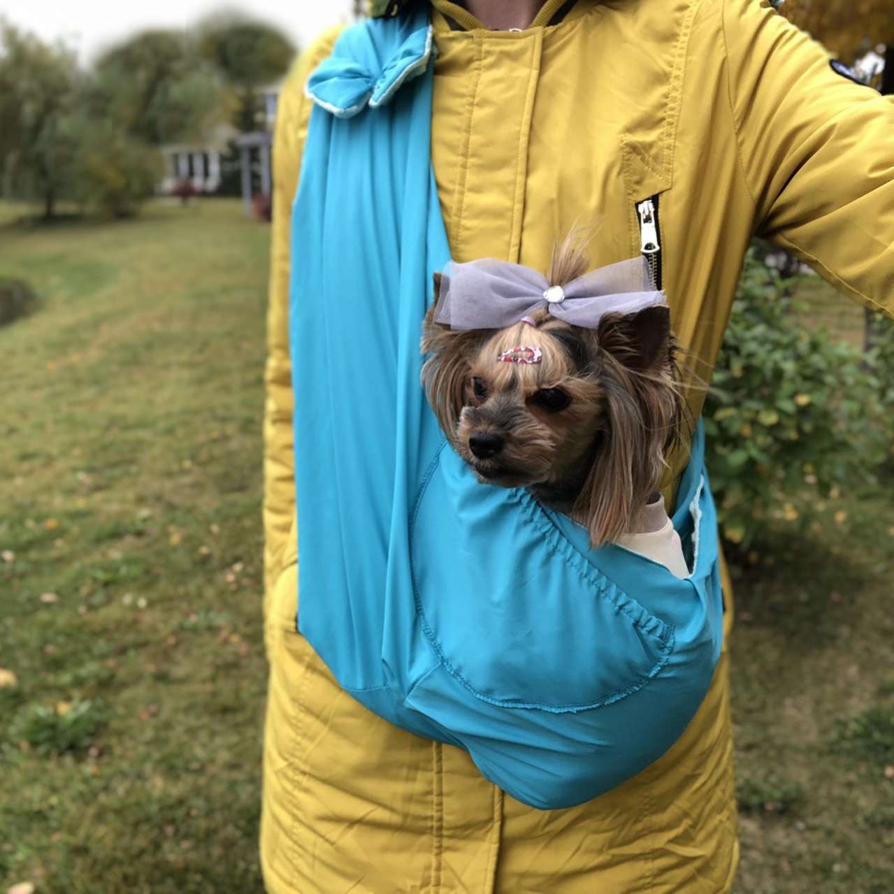 Сумка для собак Гамак Puffy Форкс