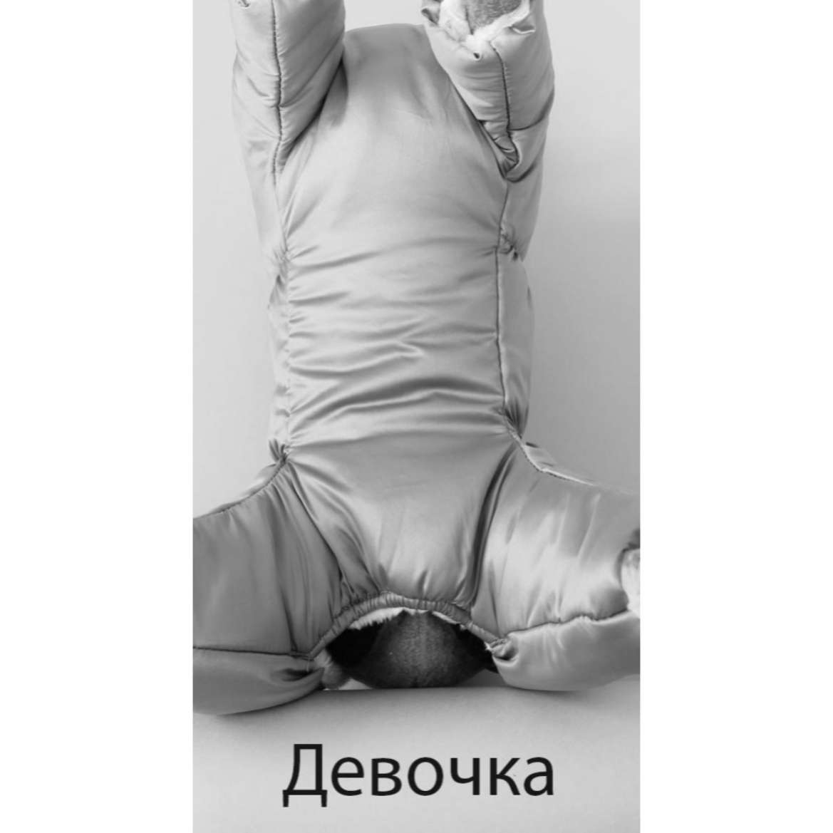 Дождевик для собаки Puffy Лапки