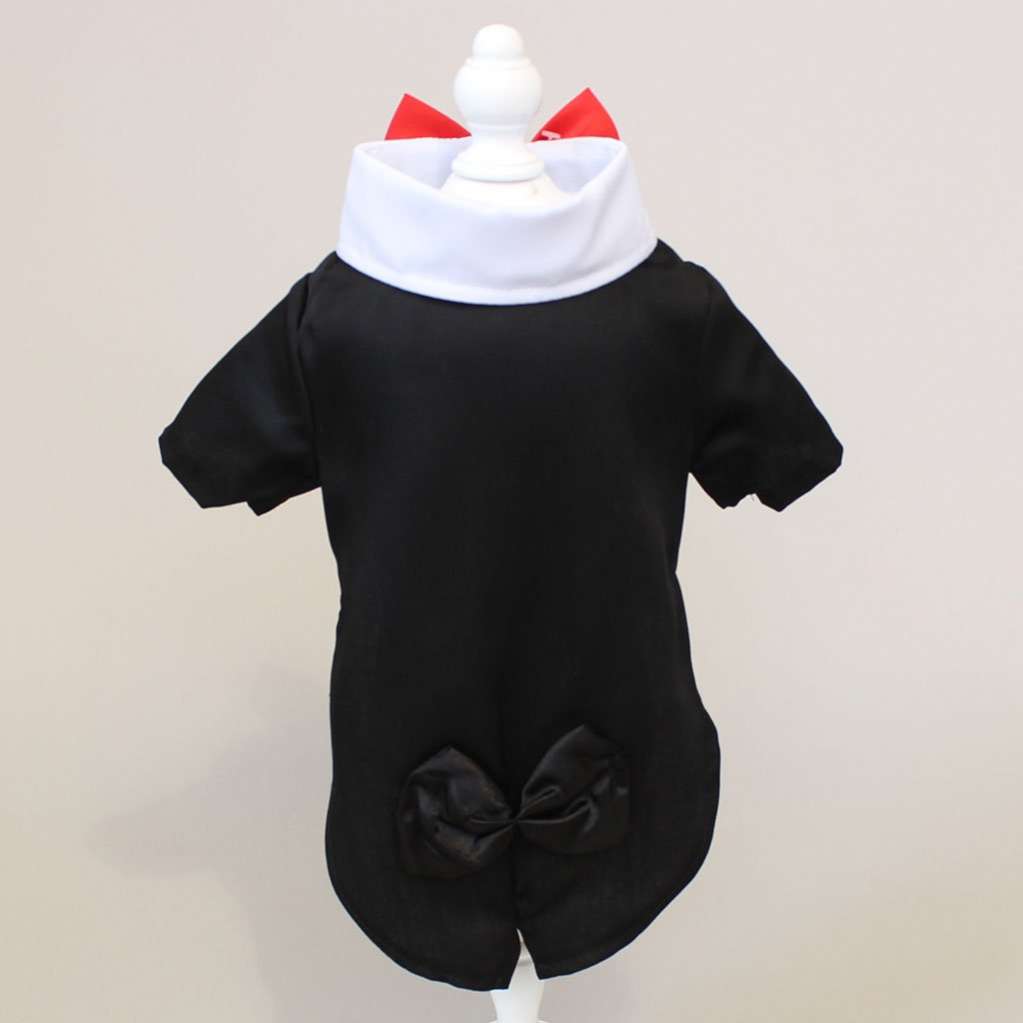 Фрак для собаки с бабочкой Pet Антуан