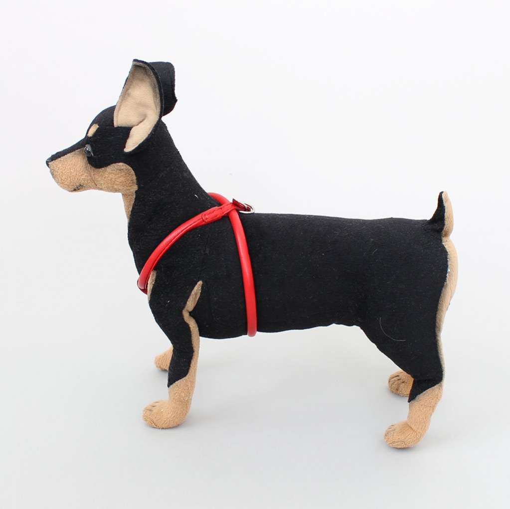 Кожаная шлейка для собак круглая для шпица