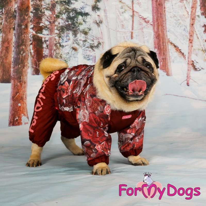 Комбинезон для собак на широкую грудь ForMyDogs Мишки