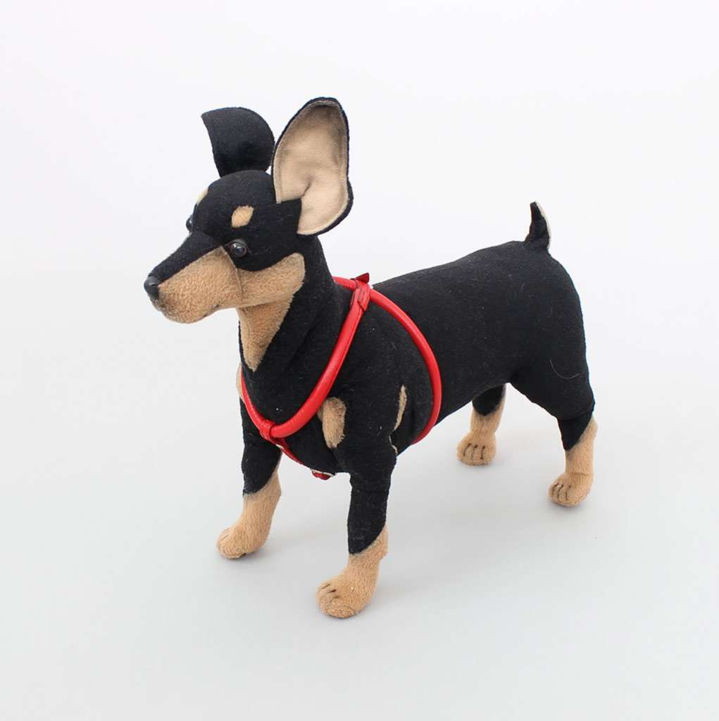 Кожаная шлейка для собак круглая для шпица