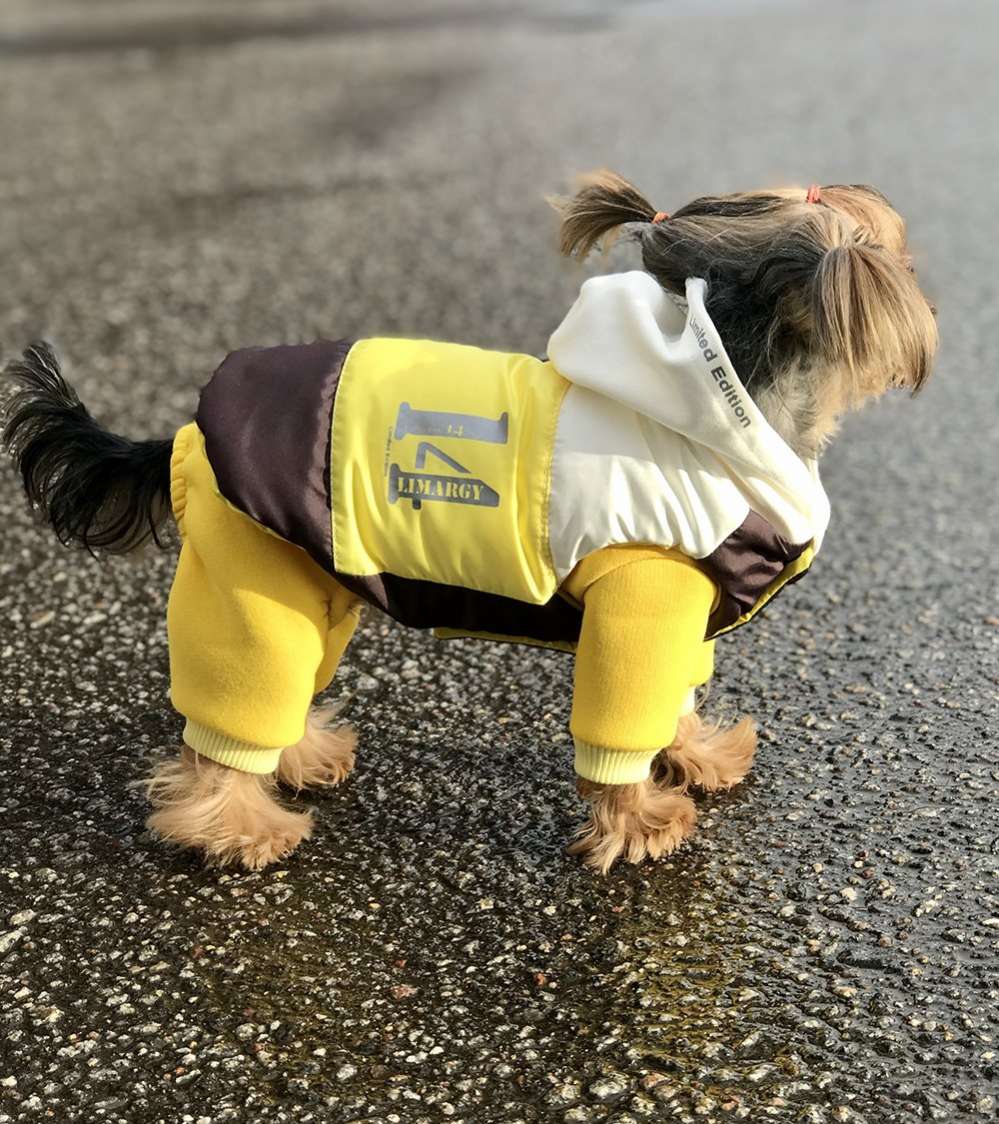 Жилет для собаки двухсторонний Premium