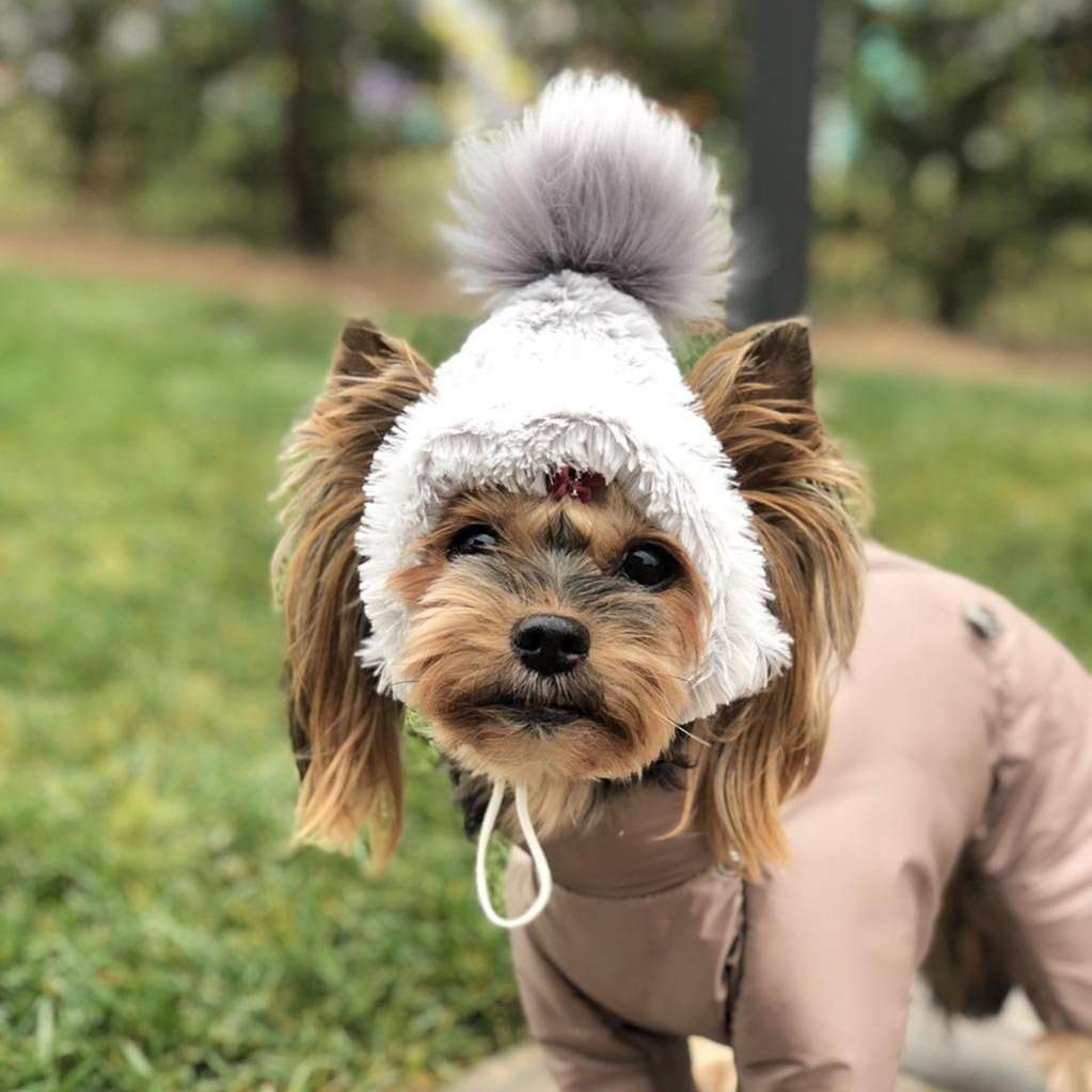 Шапка для собаки Puffy Зимушка