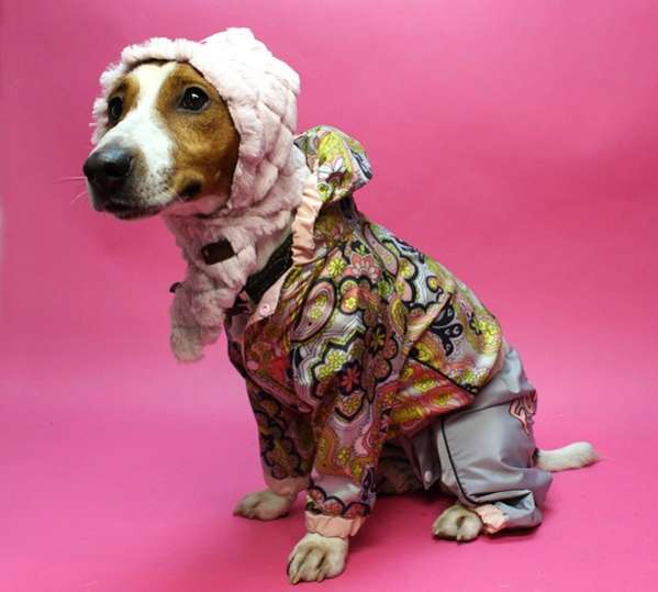 Шапка для собаки Pinkaholic Molly