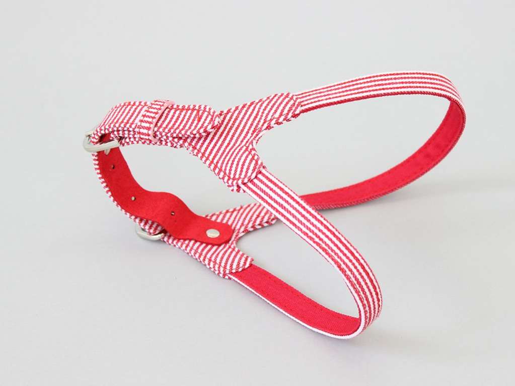 Шлейка для собак Pet Стрип