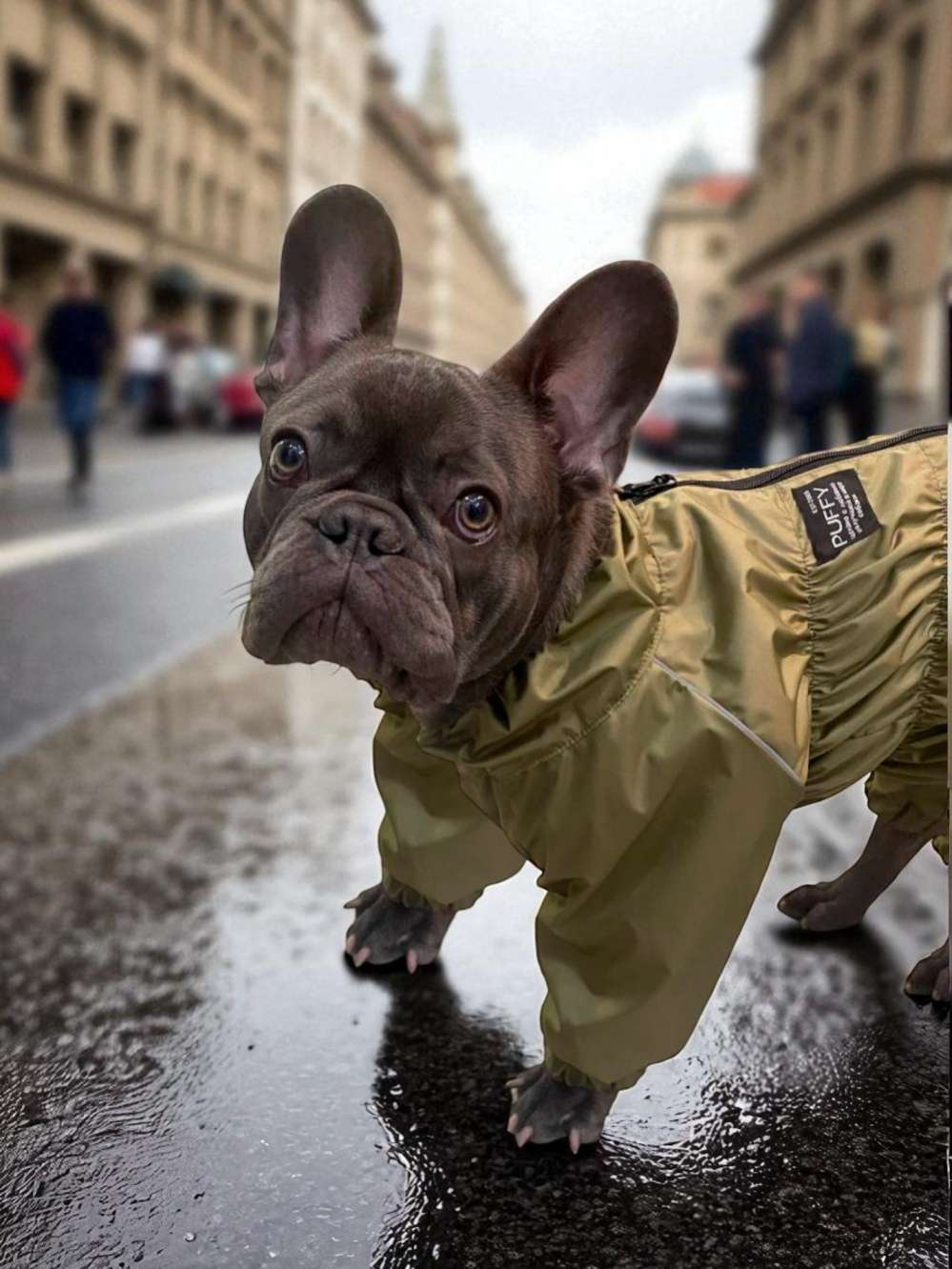 Утепленный дождевик Puffy для мопсов и бульдогов хаки