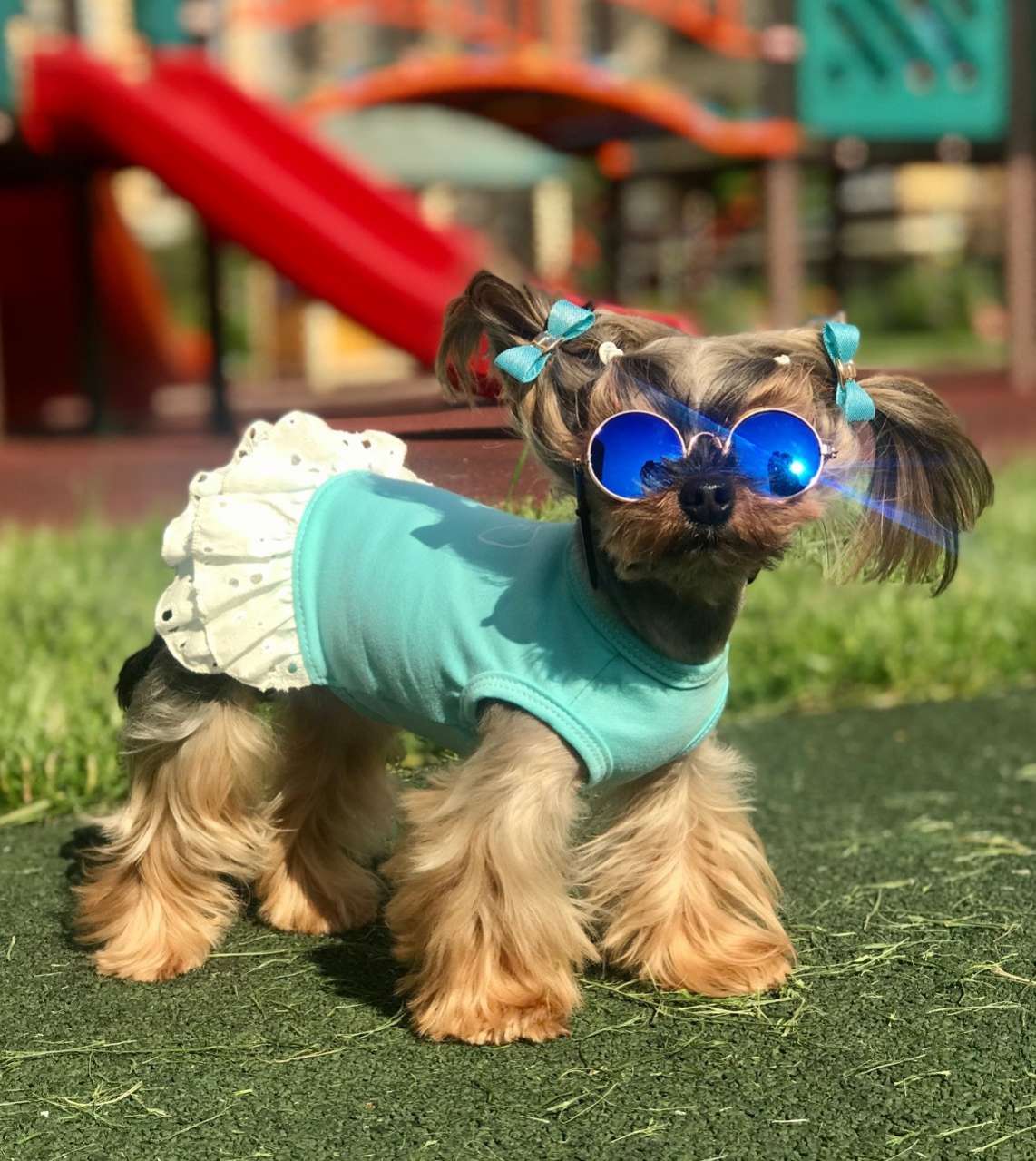 Майка для собаки Песочник Premium Бантик