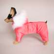 Комбинезон для собак Полярное сияние Коралл на шелке