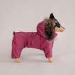 Комбинезон для собак Северное сияние Бургунди на шелке