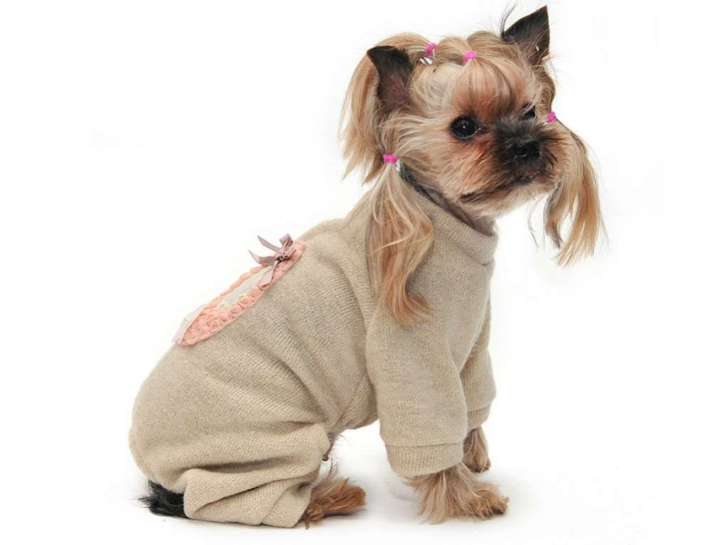 Вязаный костюм для собак Балерина