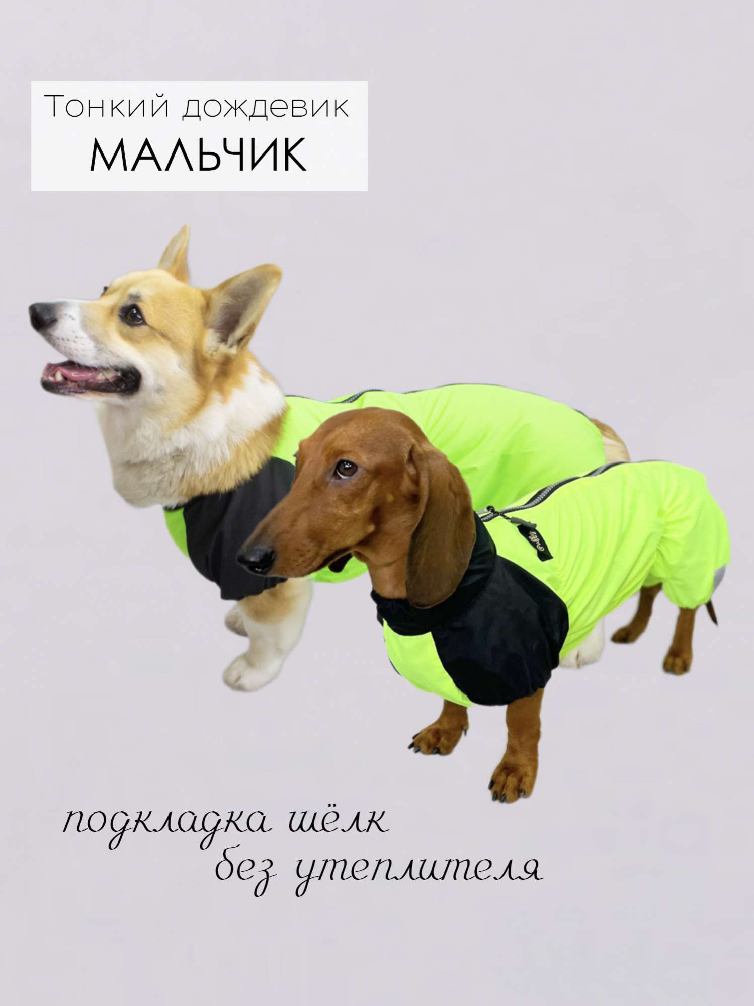 Дождевик для таксы и корги Puffy Лайм Салатовый