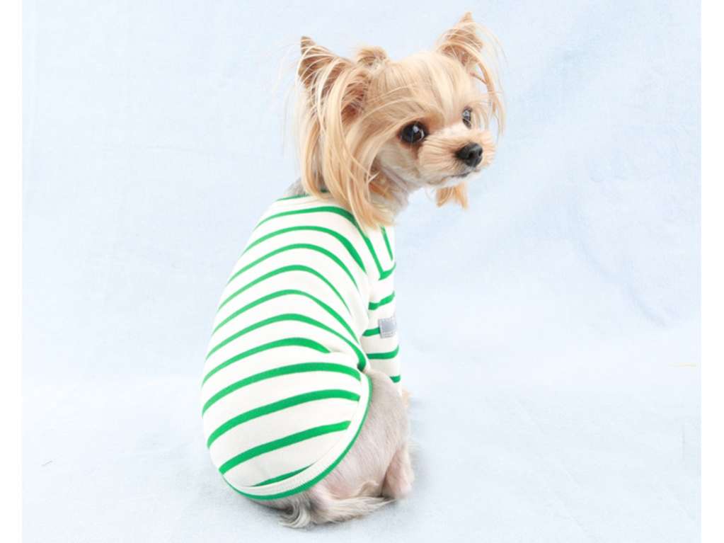 Свитшот для собак PuppyAngel Дерек