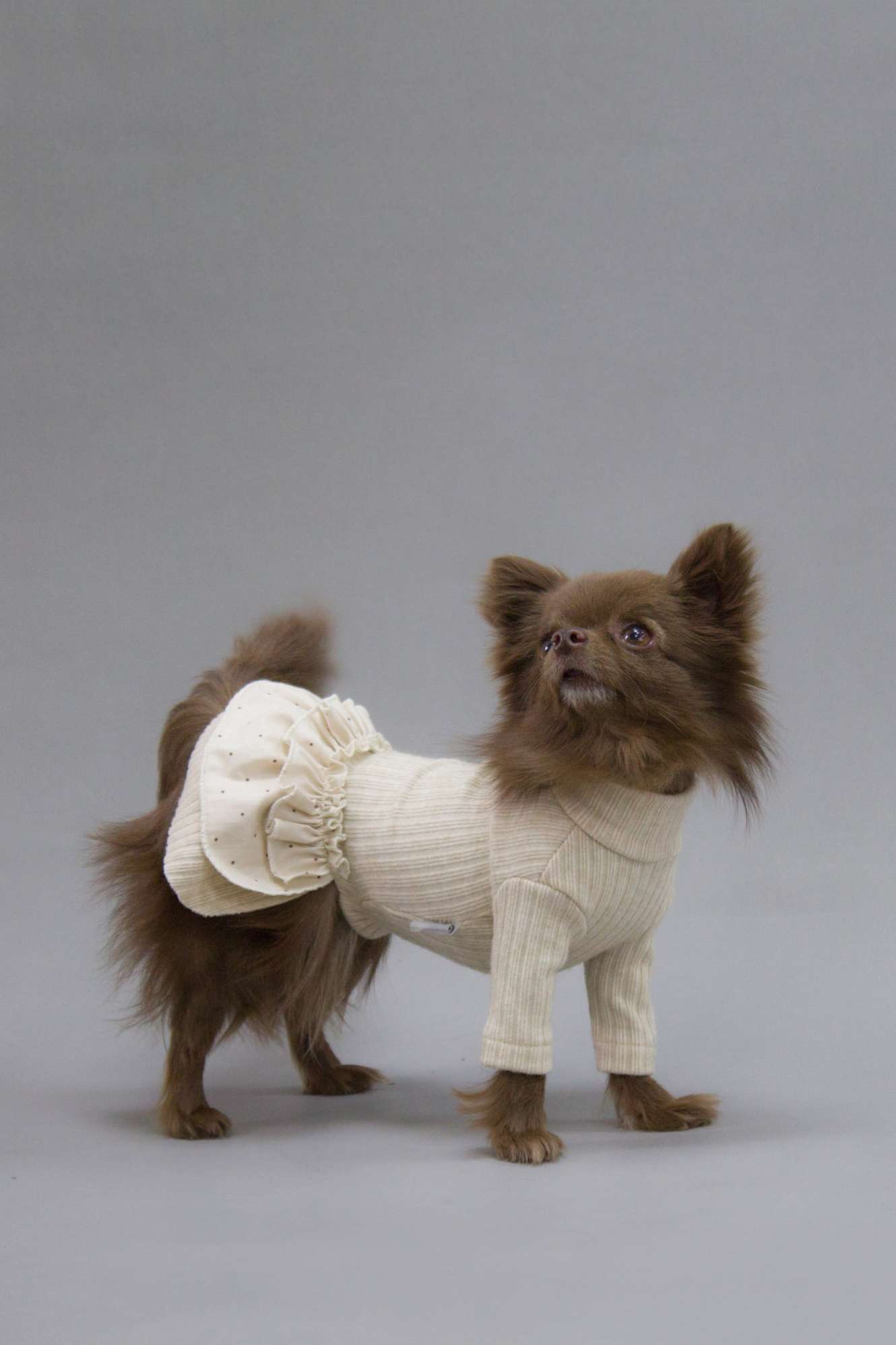 Платье для собак Puffy Лапша бежевое