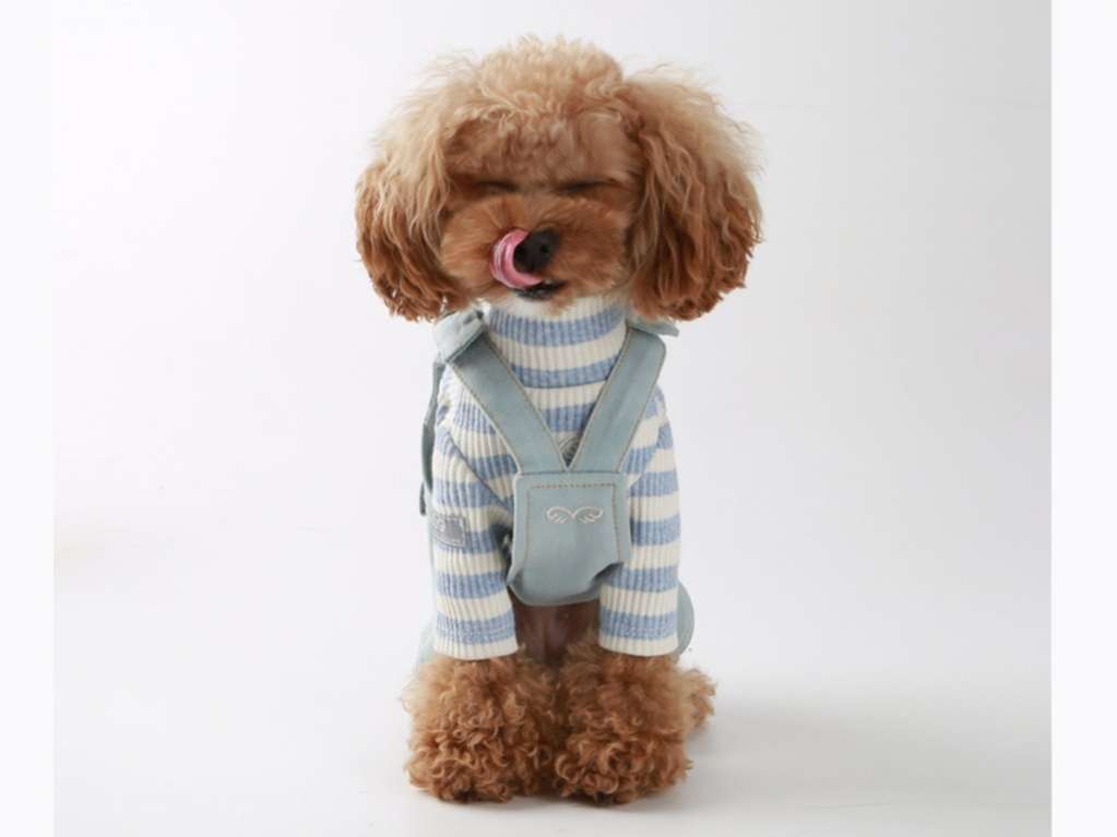 Штаны для собак PuppyAngel Озон