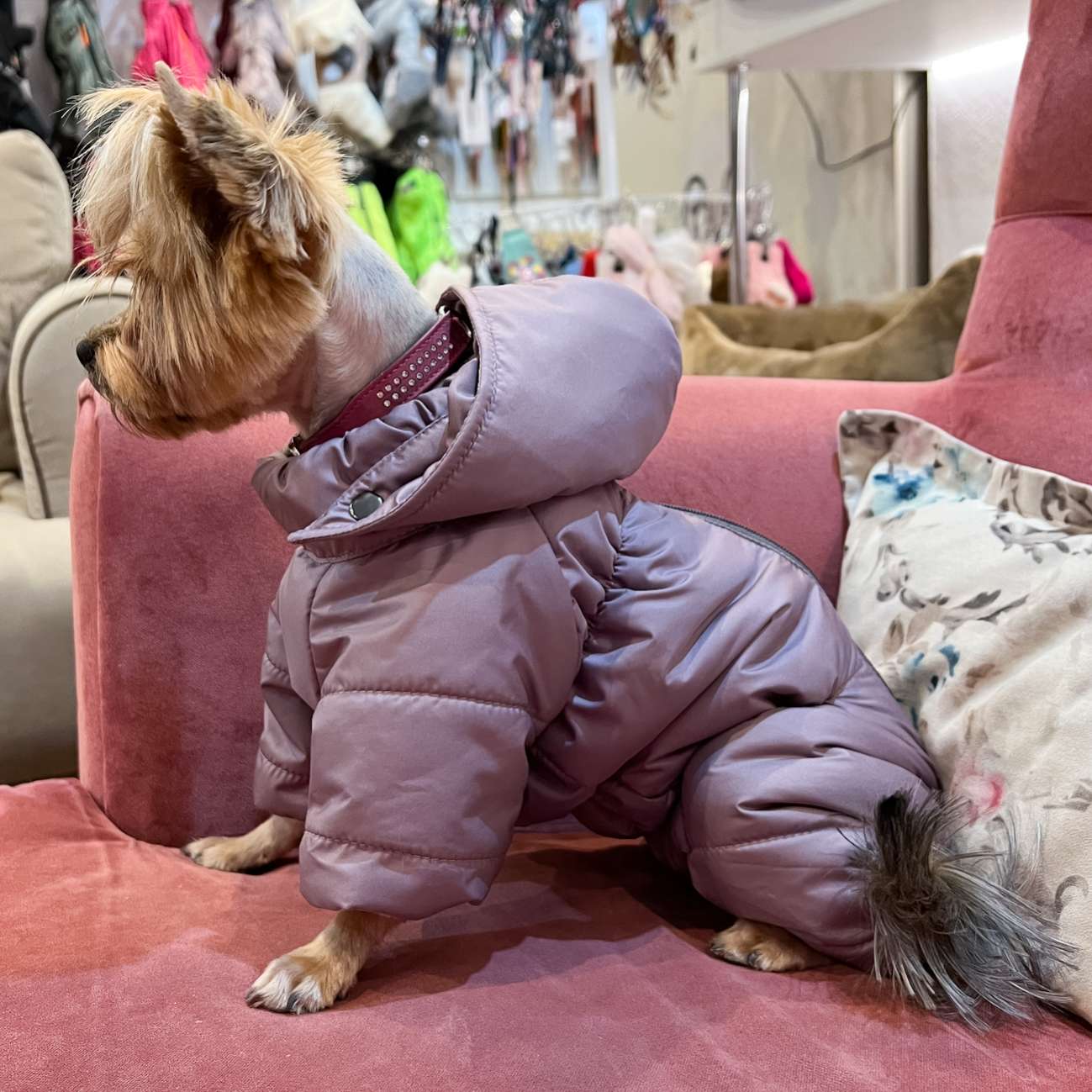 Комбинезон для собак Puffy Сидней