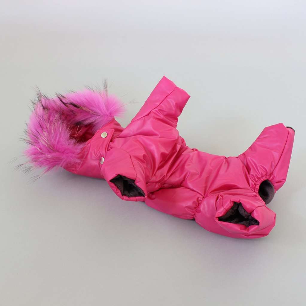 Комбинезон для собак Северное сияние Азалия