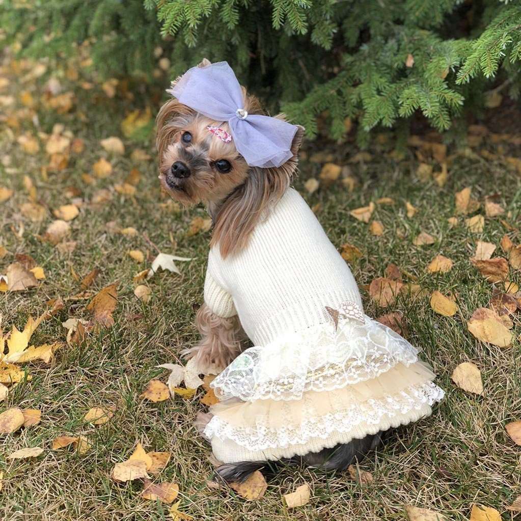 Платье для собак Puffy Мишель