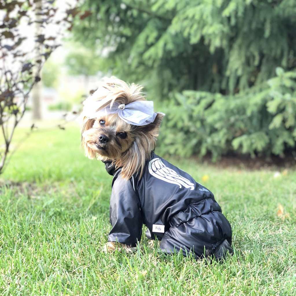 Дождевик для собаки утепленный Puffy Angel