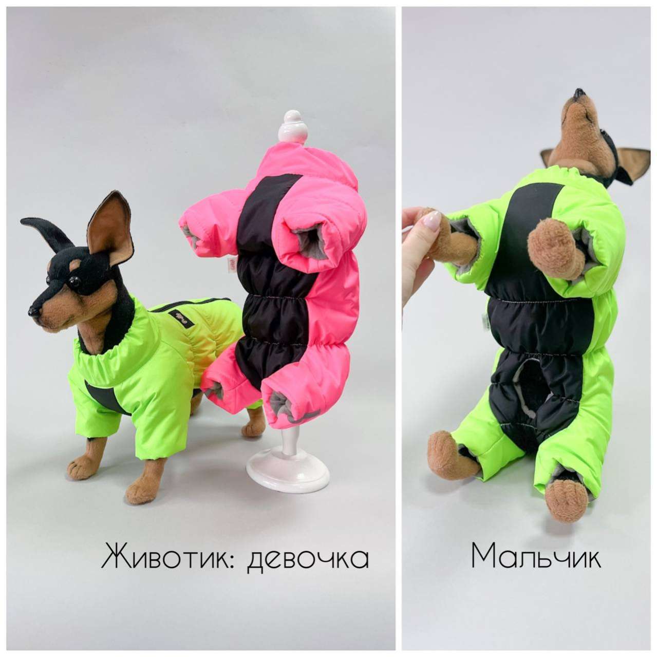 Комбинезон для собак Puffy Тигон