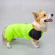Дождевик для таксы и корги Puffy Лайм Салатовый