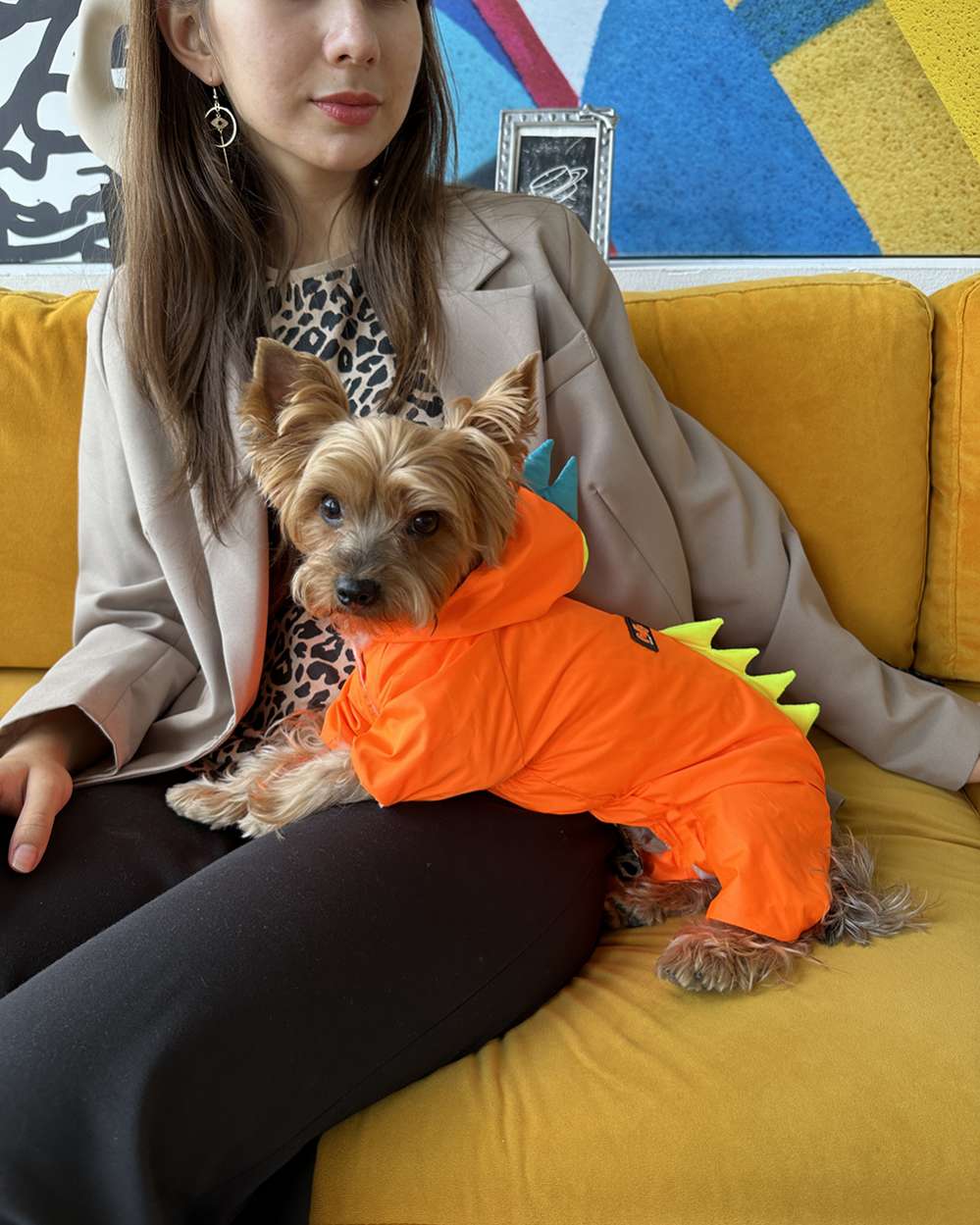 Дождевик для собаки утепленный Puffy Дино