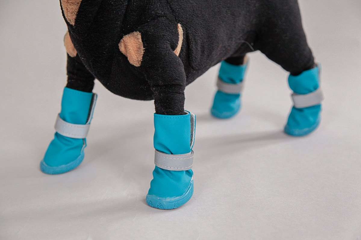 Сапоги для собак демисезонные Pet Рейн