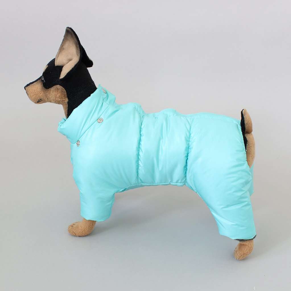 Комбинезон для собак Северное сияние Бирюза