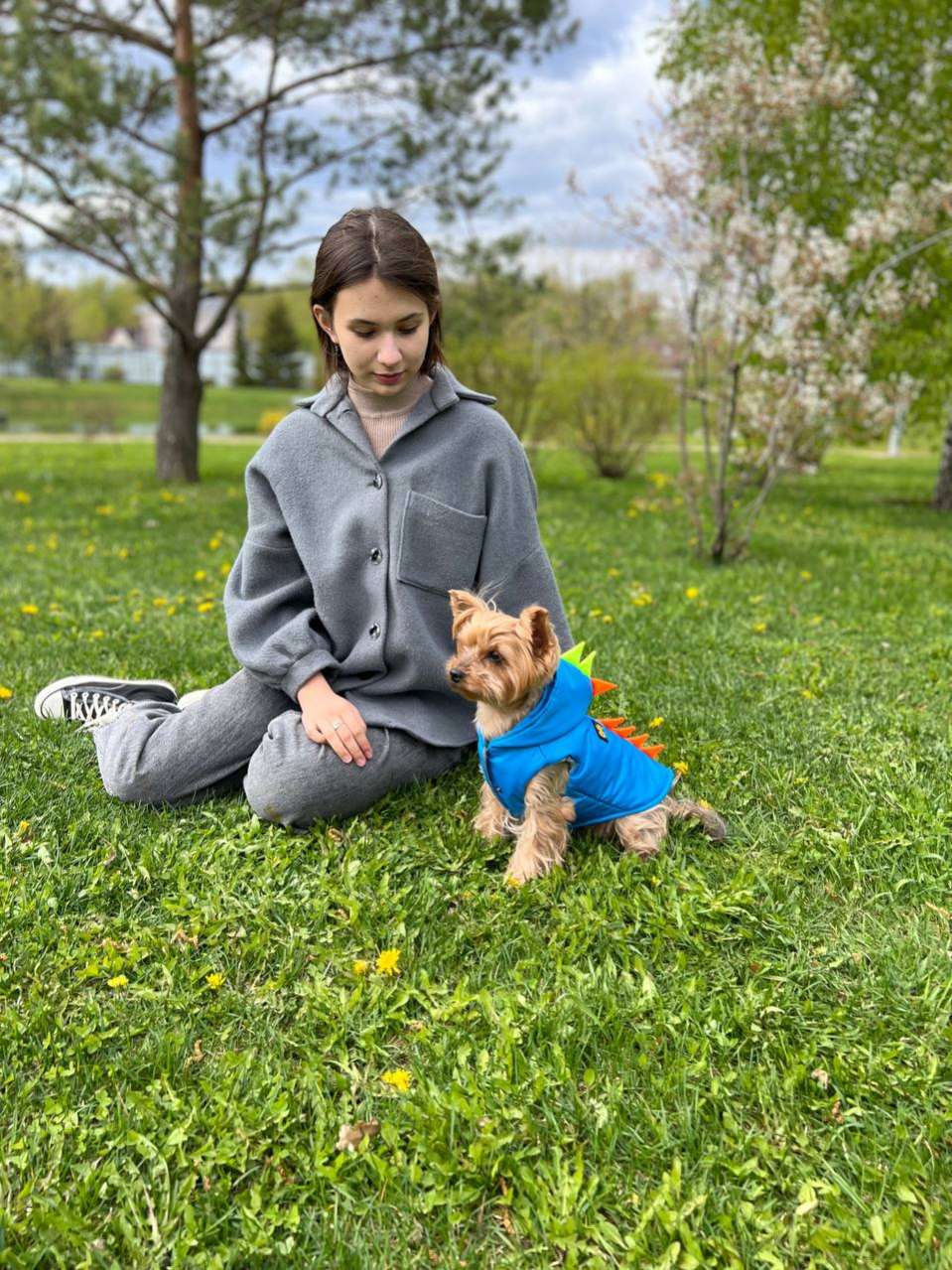 Жилетка для собаки Puffy Дино на шелке Голубой