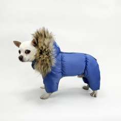 Зимний комбинезон для собак Северное сияние Небо