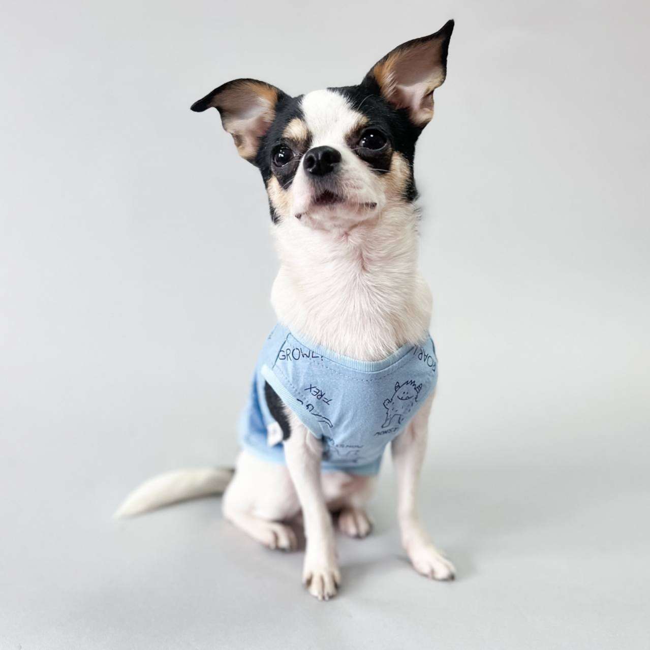 Майка для собаки Puffy Дино