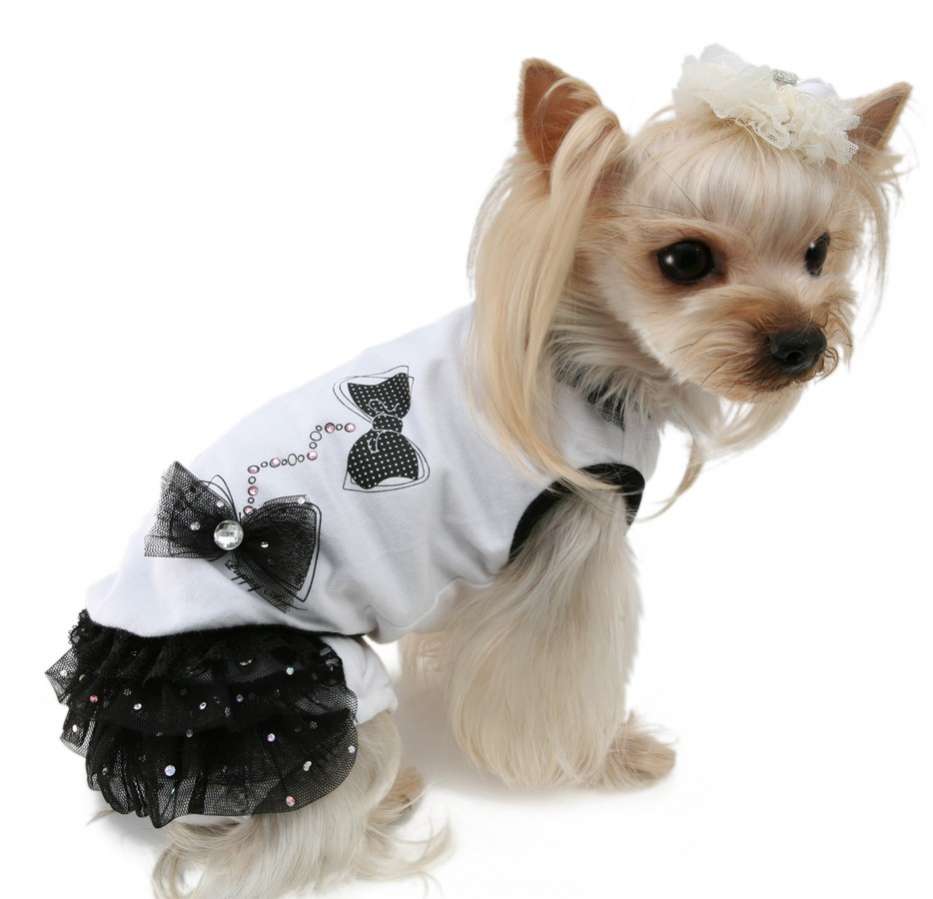 Майка для собаки PuppyAngel Бантик