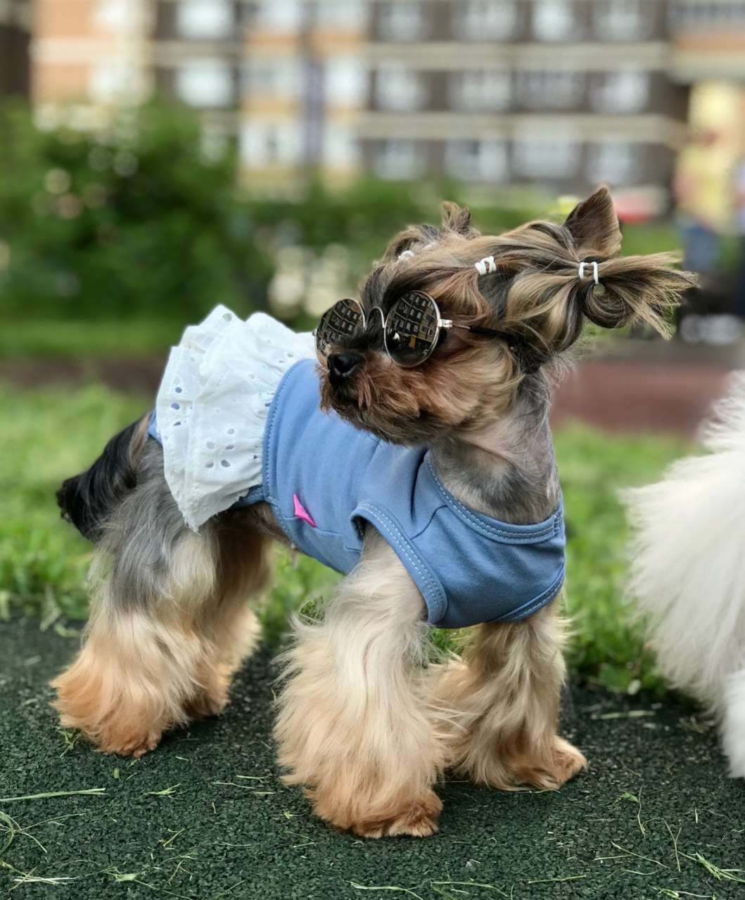 Майка для собаки Песочник Premium Бантик