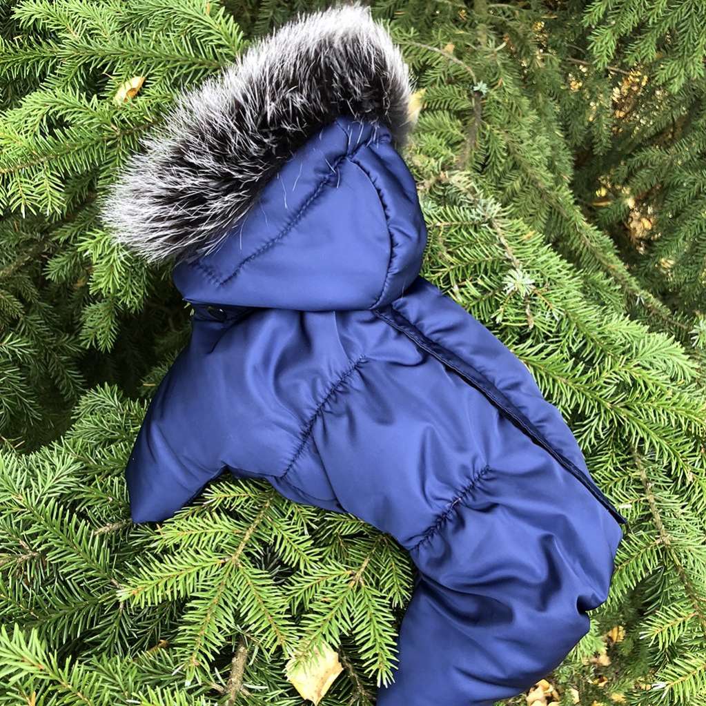 Зимний комбинезон для собак Северное сияние Гавана