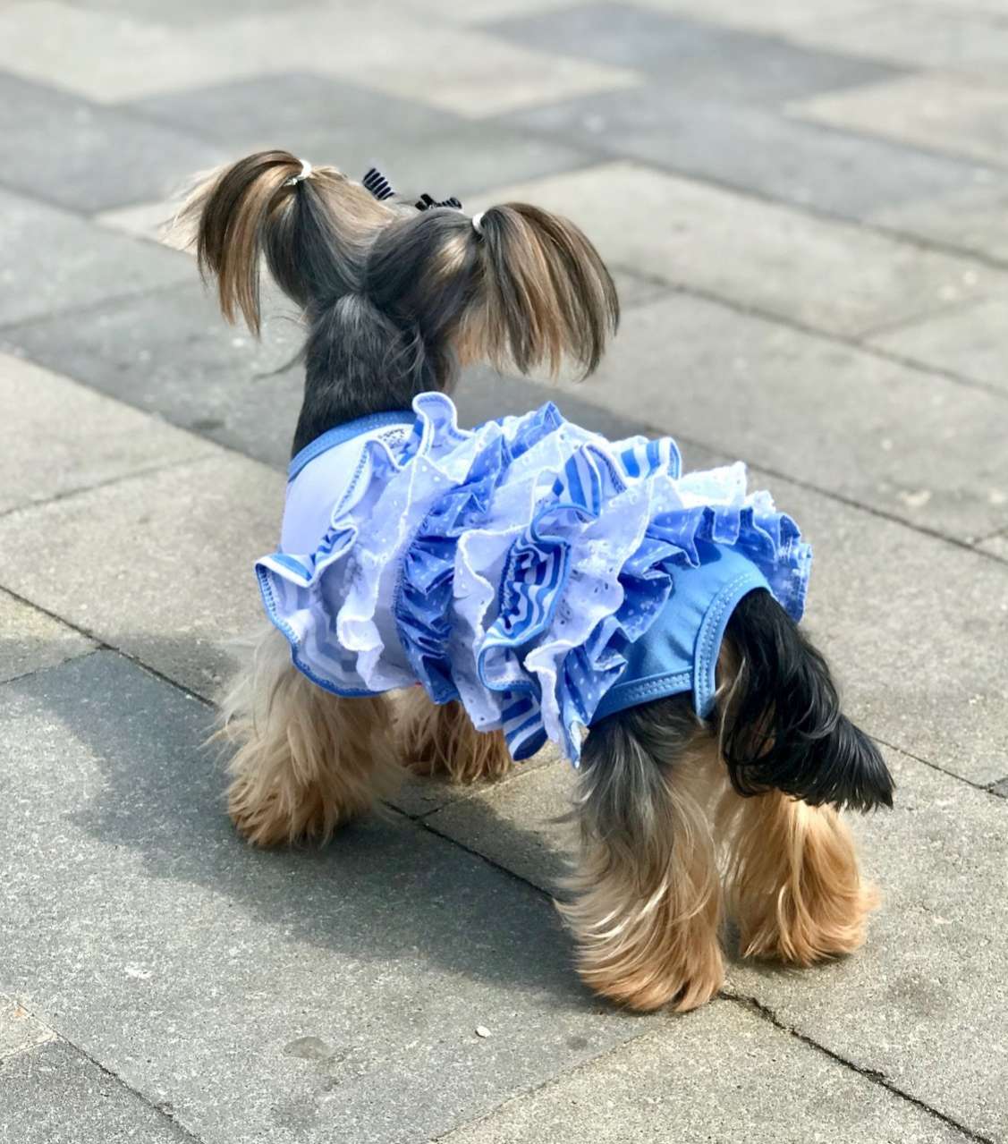 Платье для собак Premium Зефир