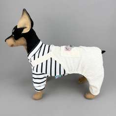 Костюм для собак Pet Той