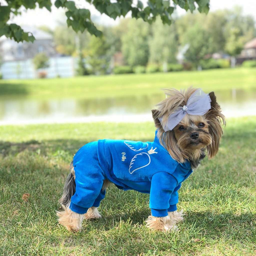 Костюм для собак велюровый Puffy Маленький ангел