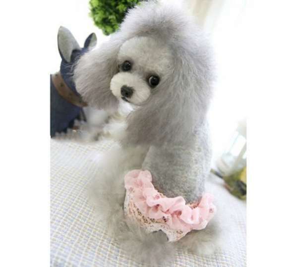 Трусики для собак гигиенические Кружево