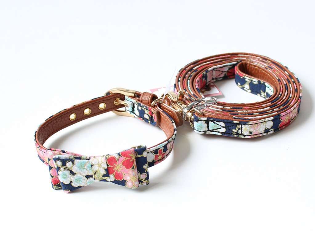 Ошейник и поводок для собаки Гармония