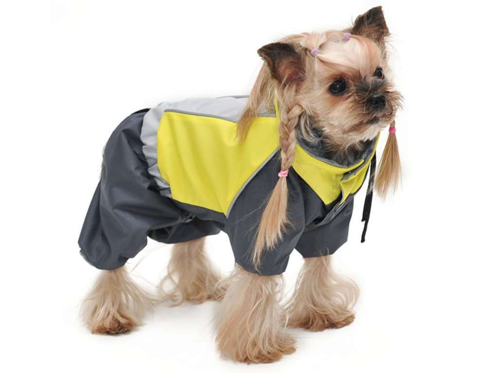Дождевик для собаки Premium Уличный стиль